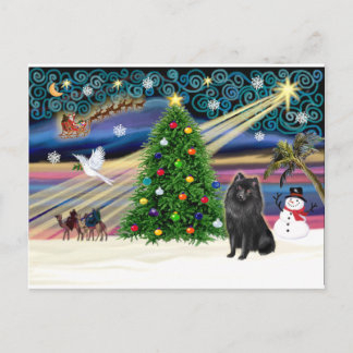 Cartes Pour Fêtes Annuelles Magie de Noël-Schipperke