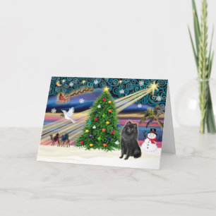 Cartes Pour Fêtes Annuelles Magie de Noël-Schipperke