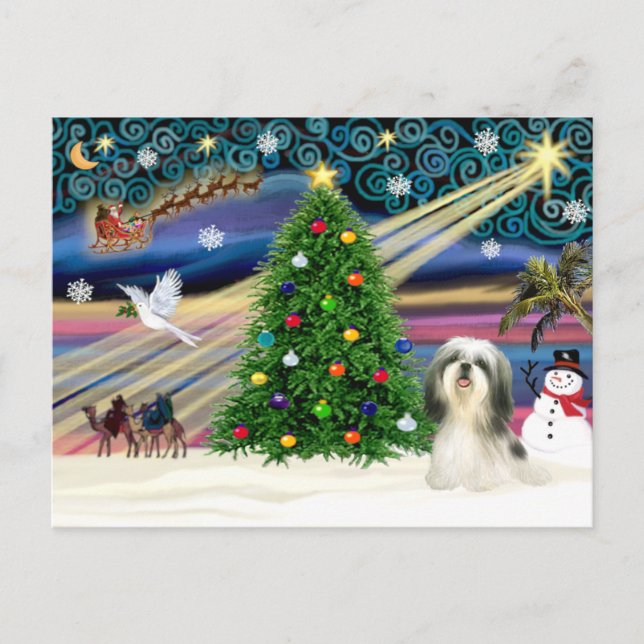 Cartes Pour Fêtes Annuelles Magie de Noël Shih Tzu 4 (Devant)
