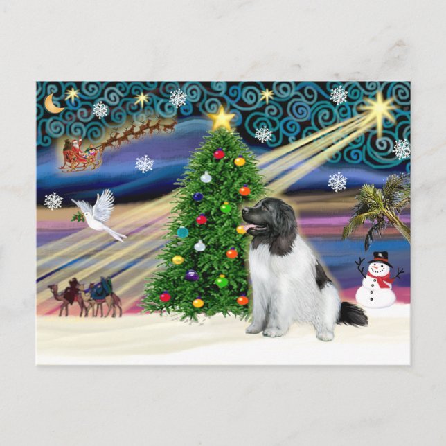 Cartes Pour Fêtes Annuelles Magie de Noël Terre-Neuve (Landseer) (Devant)