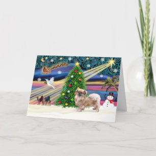 Cartes Pour Fêtes Annuelles Magie de Noël-Tibetan Spaniel