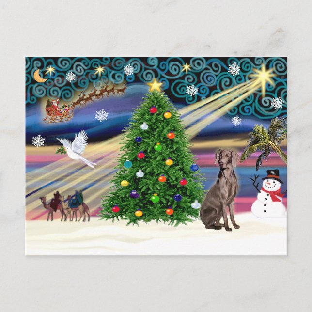 Cartes Pour Fêtes Annuelles Magie de Noël Weimaraner (Devant)