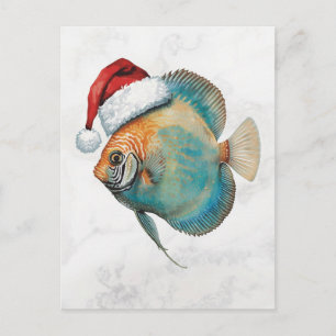 Cartes Pour Fêtes Annuelles Magnifique Poisson Discus en Chapeau de Père Noël