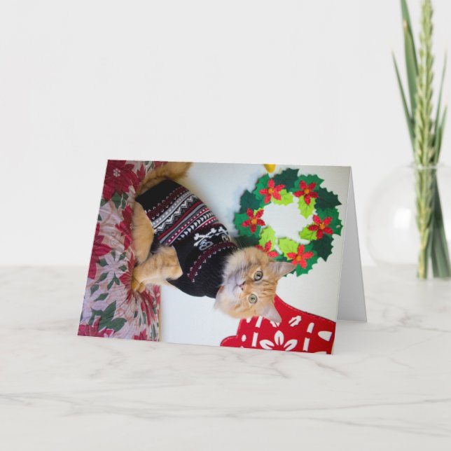Cartes Pour Fêtes Annuelles Maine Guy I (Devant)