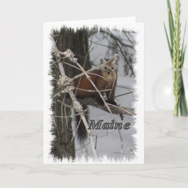 Cartes Pour Fêtes Annuelles Maine Wildlife - Pine Marten (Devant)