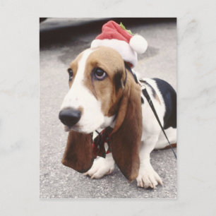 Cartes Pour Fêtes Annuelles Maison de Noël