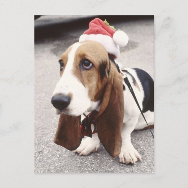 Cartes Pour Fêtes Annuelles Maison de Noël (Devant)
