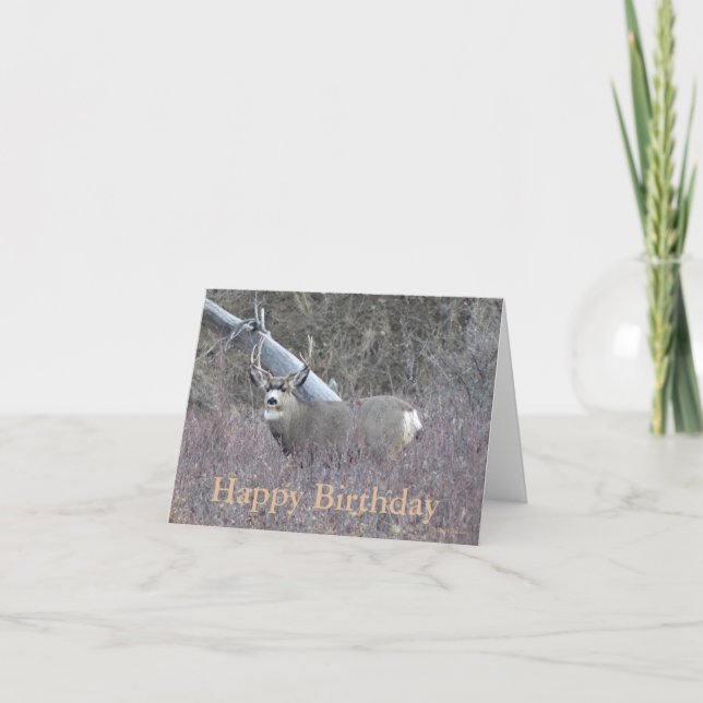 Cartes Pour Fêtes Annuelles Mâle de cerfs communs de mule D32 (Devant)