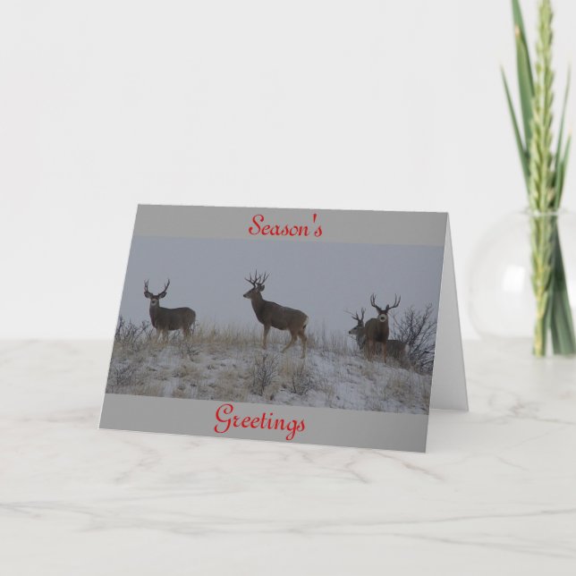 Cartes Pour Fêtes Annuelles Mâles de cerfs communs de mule D21 (Devant)