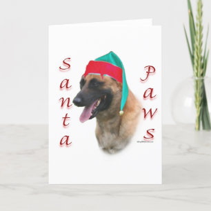 Cartes Pour Fêtes Annuelles Malinois belge Père Noël Paws ; Père Noël Malinois