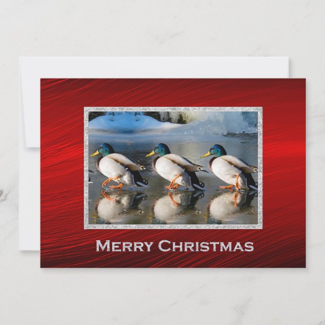 Cartes Pour Fêtes Annuelles Mallard Canards Glace Photo Christmas Flat (Devant)