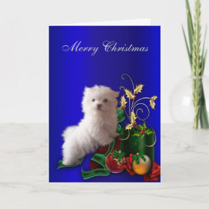 Cartes Pour Fêtes Annuelles Maltese Puppy Dog Christmas