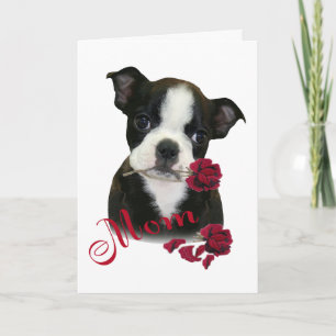 Cartes Pour Fêtes Annuelles Maman de Boston Terrier