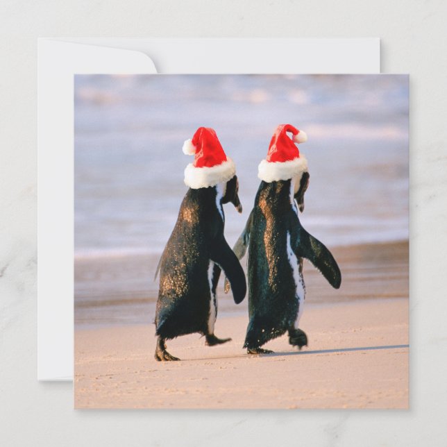 Cartes Pour Fêtes Annuelles Manchots en bonnets de Père Noël sur la plage (Devant)