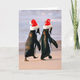 Cartes Pour Fêtes Annuelles Manchots en chapeaux de Père Noël sur la plage