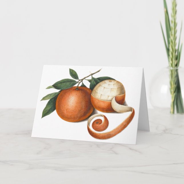 Cartes Pour Fêtes Annuelles Mandarin Oranges : Peinture antique de Chine (Devant)