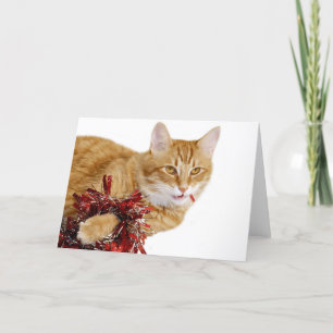 Cartes Pour Fêtes Annuelles Manger des décorations de Noël