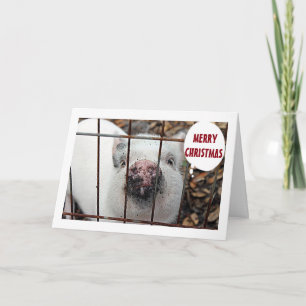 CARTES POUR FÊTES ANNUELLES "MANGEZ PLUS DE POULET ET JETEZ NOËL DU POIVRE