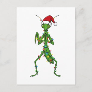 Cartes Pour Fêtes Annuelles Mante religieuse Noël Vacances Insecte Bête
