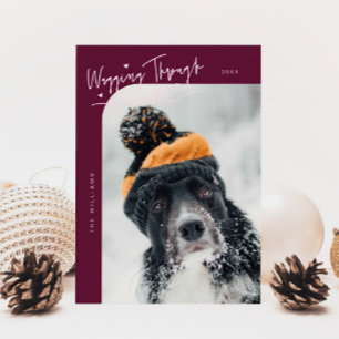 Cartes Pour Fêtes Annuelles Marche à travers l'hiver canneberge de chien Noël