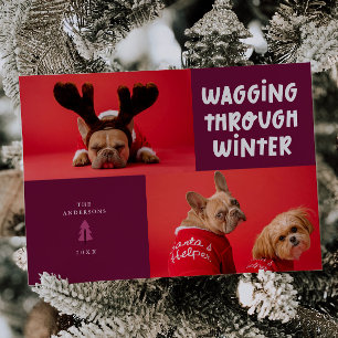 Cartes Pour Fêtes Annuelles Marche à travers l'hiver Cranberry Pet Photo