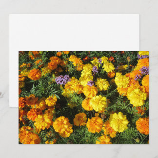 Cartes Pour Fêtes Annuelles Marigolds