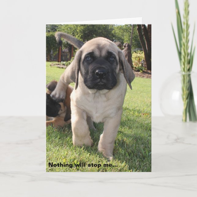 Cartes Pour Fêtes Annuelles marionnette de mastiff (Devant)
