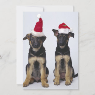 Cartes Pour Fêtes Annuelles Marionnettes avec chapeaux santa