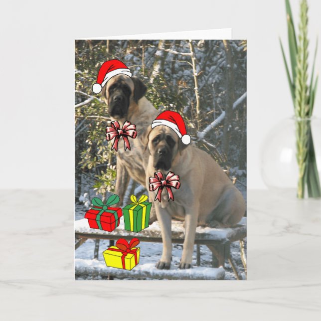Cartes Pour Fêtes Annuelles Mastiff Christmas Card (Devant)