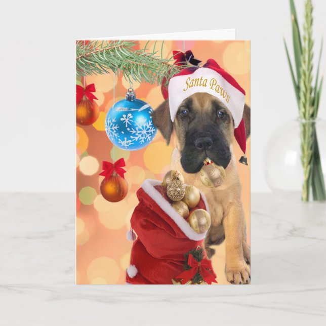 Cartes Pour Fêtes Annuelles Mastiff Puppy Joyeux Noël (Devant)