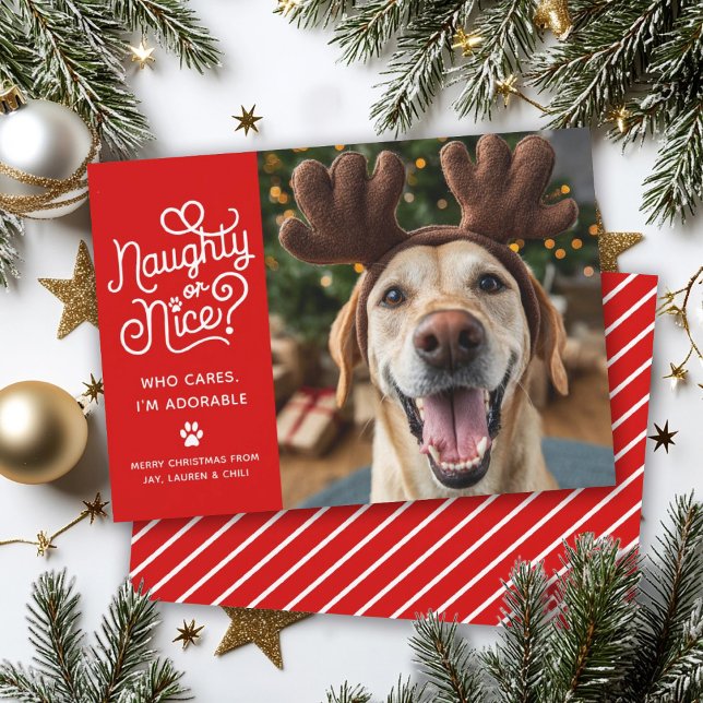 Cartes Pour Fêtes Annuelles Méchant ou Mignon Photo Drôle de Chien Chat (Créateur téléchargé)