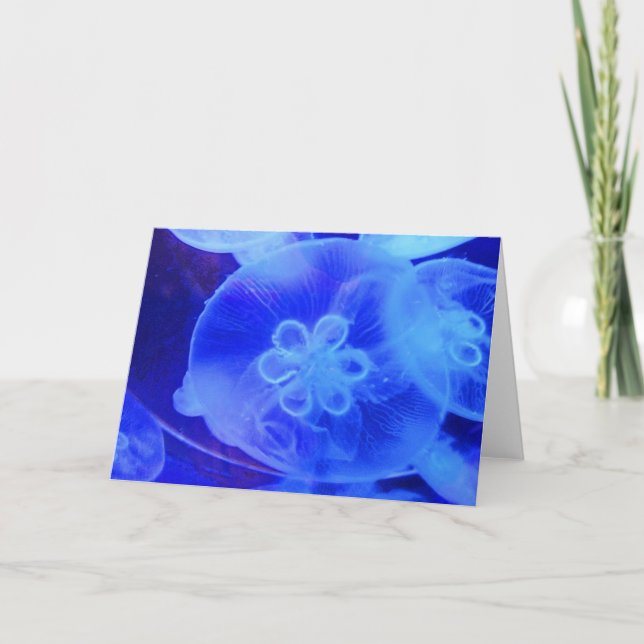 Cartes Pour Fêtes Annuelles Méduse (Devant)