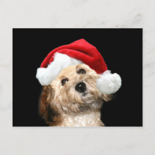 Cartes Pour Fêtes Annuelles Mélange de canicules Noël