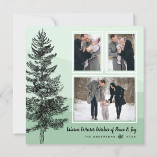 Cartes Pour Fêtes Annuelles Menthe Rustique Pine Tree Mint 3-Photo Collage Sal