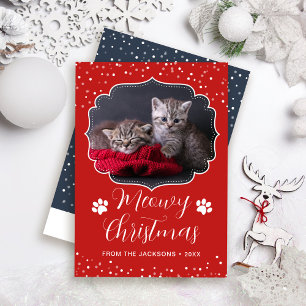 Cartes Pour Fêtes Annuelles Meowny Christmas White Script Pet Cat Photo