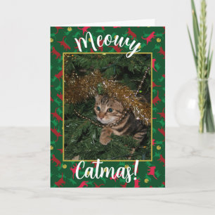 Cartes Pour Fêtes Annuelles Meowy Catmas - Rouge Vert Noël Motif de chat