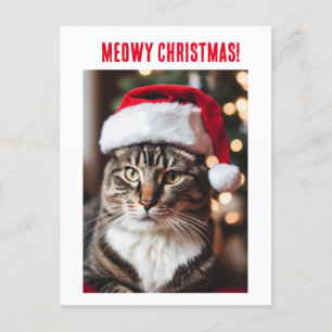 Cartes Pour Fêtes Annuelles Meowy Christmas !