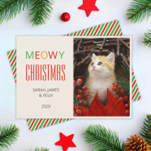 Meowy Christmas Animaux de compagnie Cute Kitten P