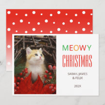 Meowy Christmas Cute Chat Photo Amoureux des anima