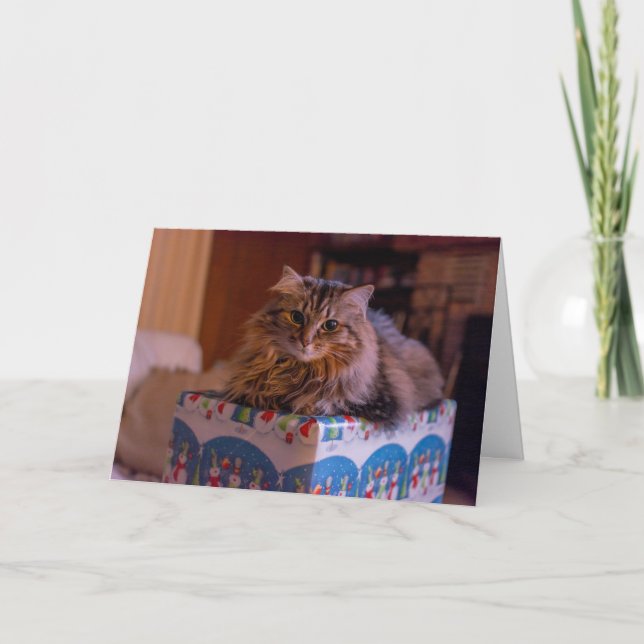 Cartes Pour Fêtes Annuelles Meowy Christmas Kitty dans une boîte cadeau (Devant)