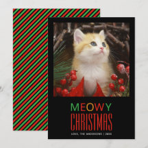 Meowy Christmas Pet Cat Photo Amoureux des animaux