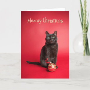 Cartes Pour Fêtes Annuelles Meowy (Joyeux) Chat de Noël avec Humour ornemental