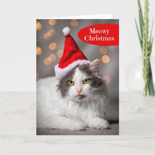 Cartes Pour Fêtes Annuelles Meowy Joyeux Noël pour tout le monde mignonne chat