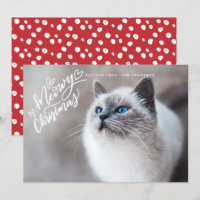 Meowy Noël Lettering Chat photo complète