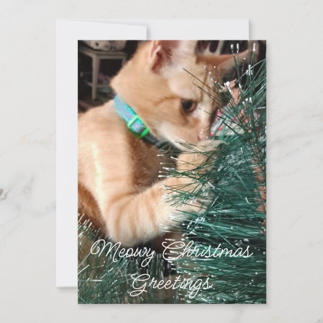 Cartes Pour Fêtes Annuelles Meowy Noël Salutations, Chat, Photo Et Texte, (Devant)