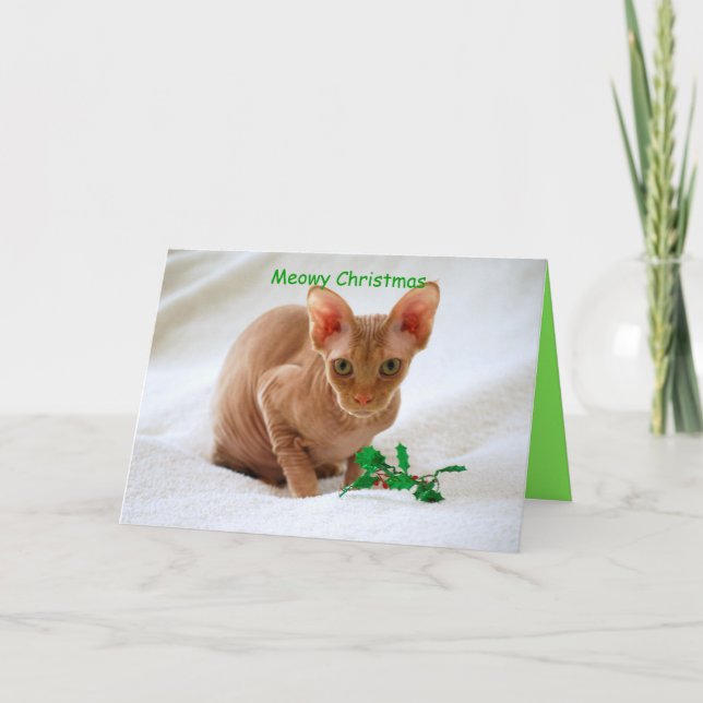 Cartes Pour Fêtes Annuelles Meowy Noël Sphinx Chat (Devant)