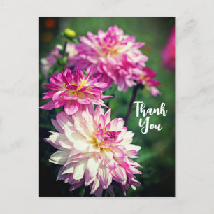 Cartes Pour Fêtes Annuelles Merci de fleur Dahlia rose et blanc