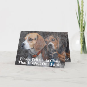 Cartes Pour Fêtes Annuelles Mère drôle ne fait pas Windows Beagle Noël