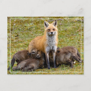 Cartes Pour Fêtes Annuelles Mère être comme