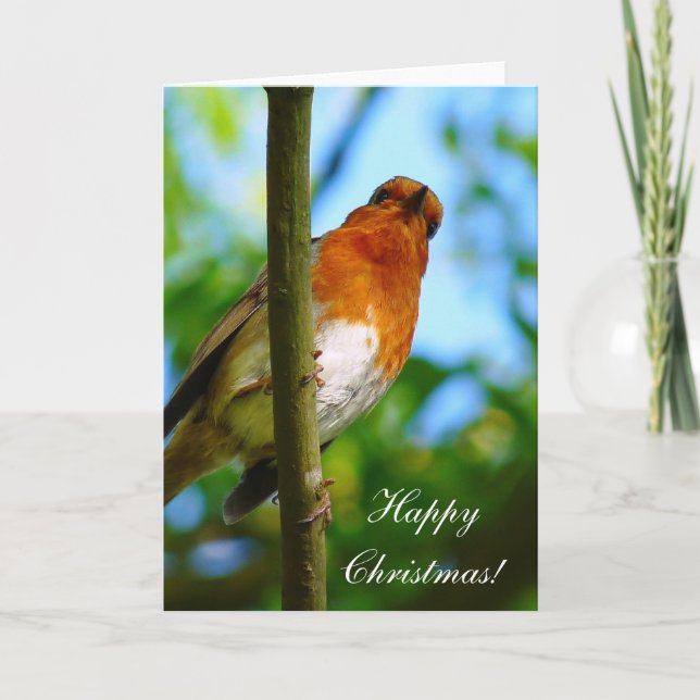 CARTES POUR FÊTES ANNUELLES MERLES DE NOËL (Devant)